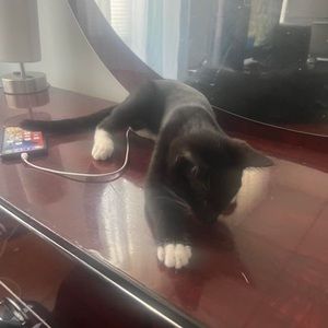 Meet your Posher, Tparty